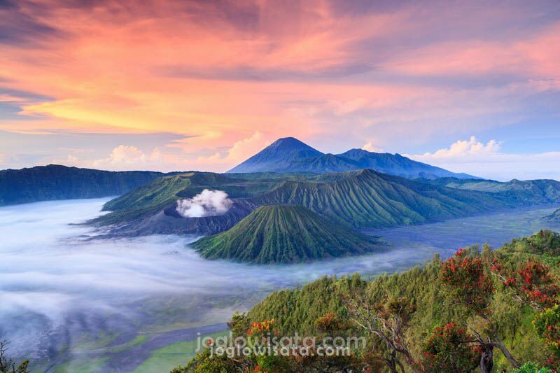 Paket Wisata Bromo Batu Malang 2 Hari 1 Malam