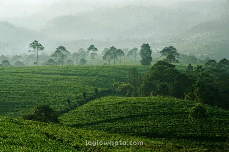 Paket Wisata Tawangmangu – Sarangan Terbaru