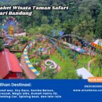 Paket Wisata Taman Safari dari Bandung