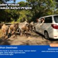 Paket Wisata Taman Safari Prigen