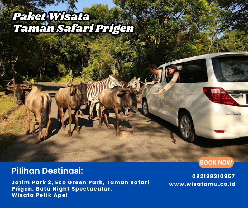 Paket Wisata Taman Safari Prigen