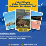 Paket Wisata Pulau Komodo Dari Jakarta, Surabaya, Bali