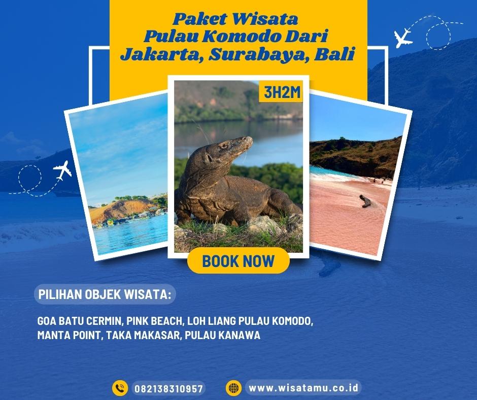 Paket Wisata Pulau Komodo Dari Jakarta, Surabaya, Bali