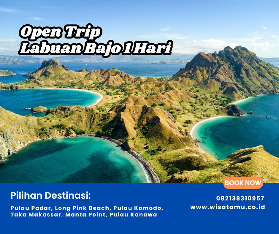 open trip labuan bajo 1 hari