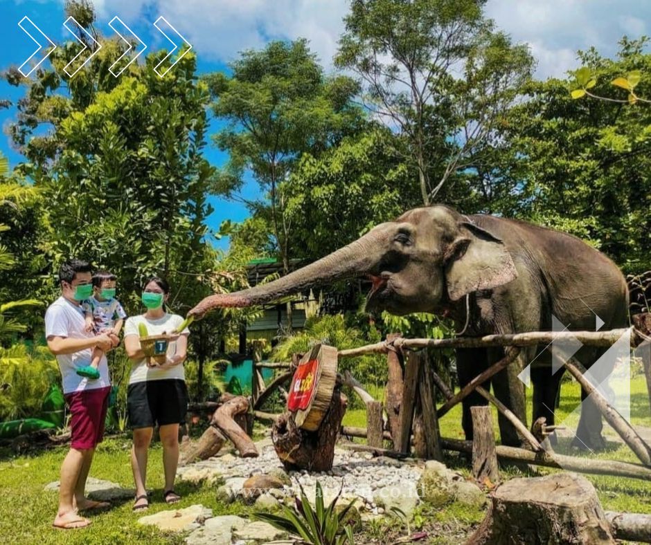 Wisata Jogja Terbaik untuk Keluarga