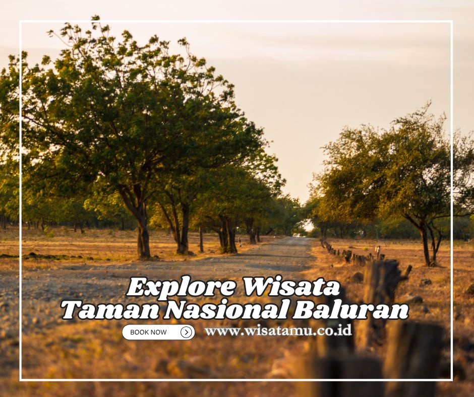 Explore Wisata Baluran dengan Jeep