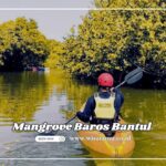 Cari Tempat Seru di Bantul Mangrove Baros Jawabannya!