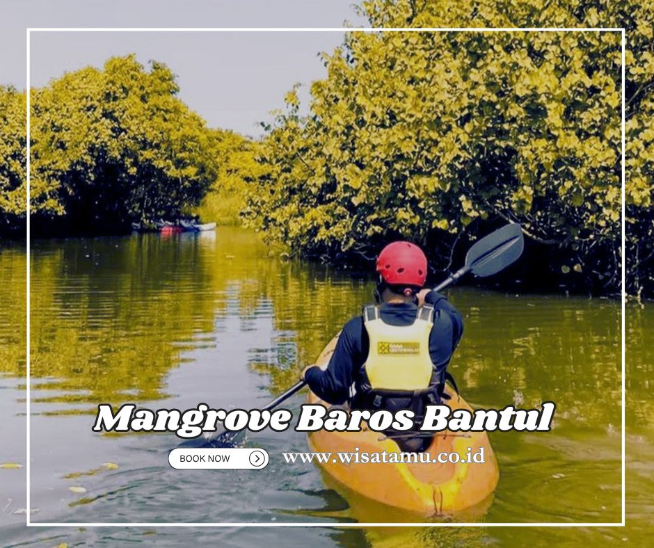 Cari Tempat Seru di Bantul Mangrove Baros Jawabannya!